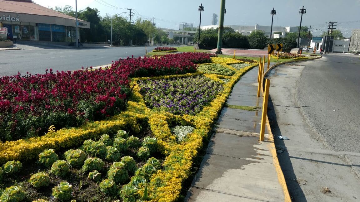 Calzada San Pedro - Image 1