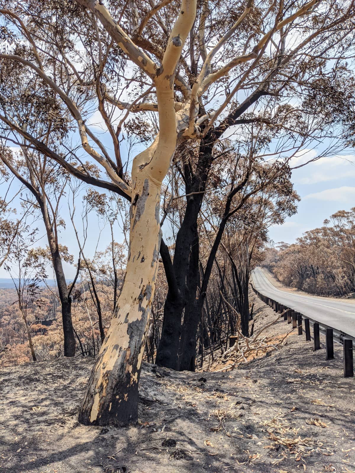 Mount Tomah Botanic Garden