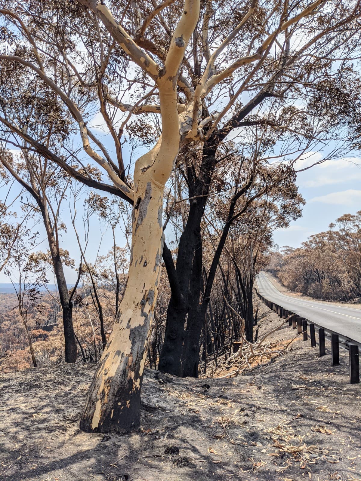 Bells Line of Road, Kurrajong Heights NSW 2758, Australia - Image 1