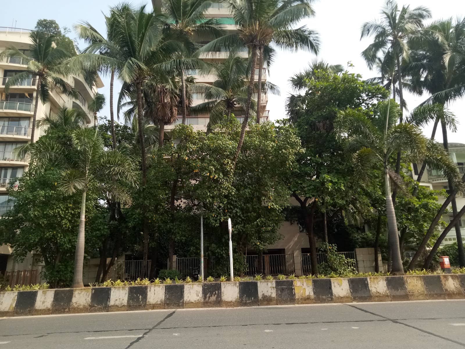 Leisurely Walk & People Watching