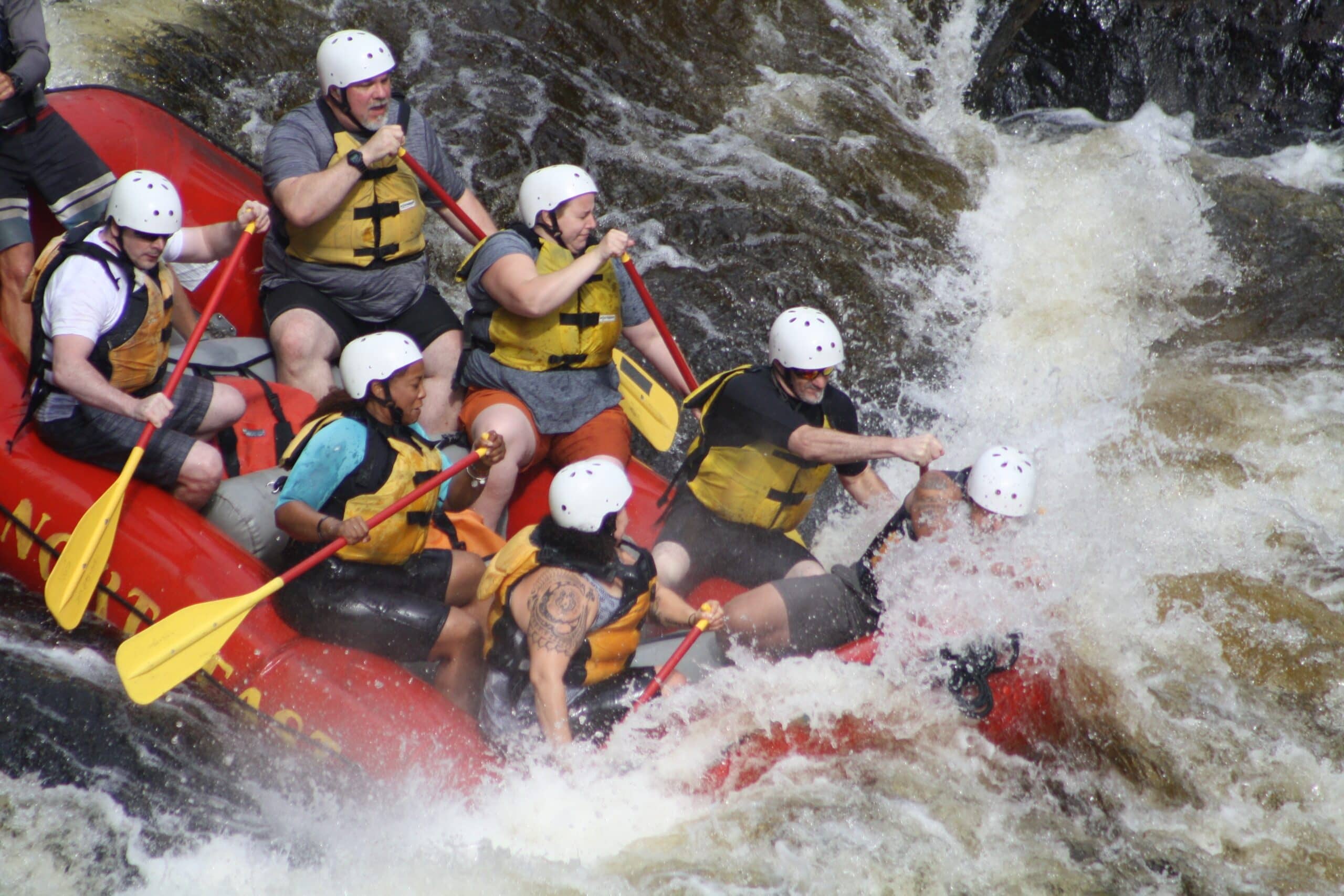 Picnic & Photo Opportunities