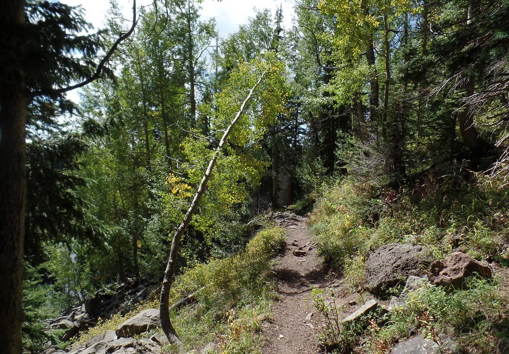 The Crest Trail