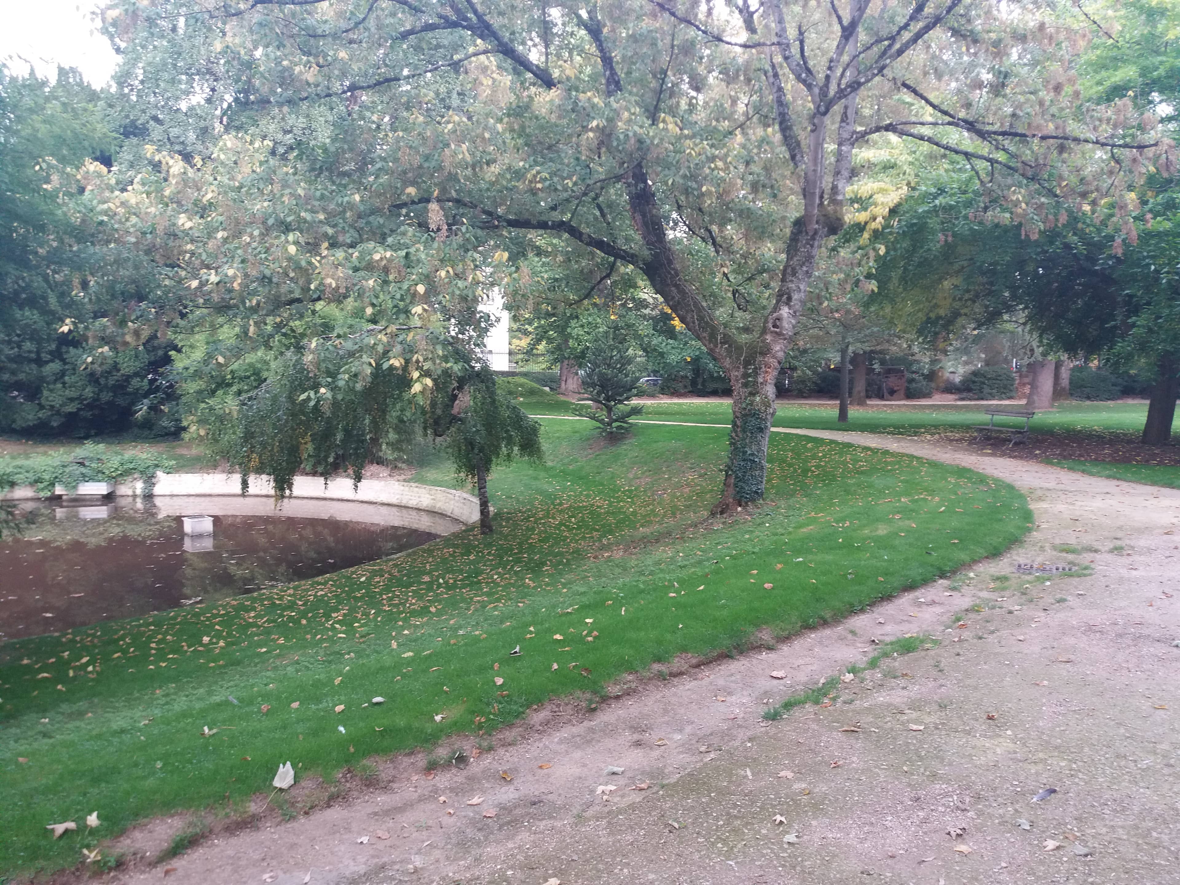 Mature Trees and Seating