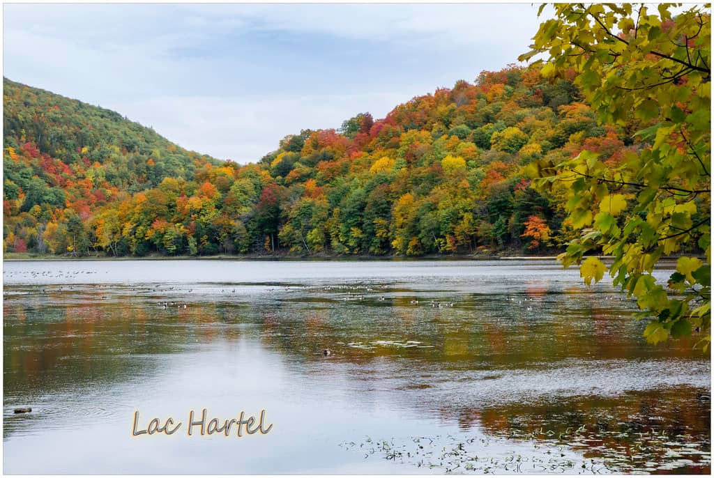 Serene Lake Ambiance