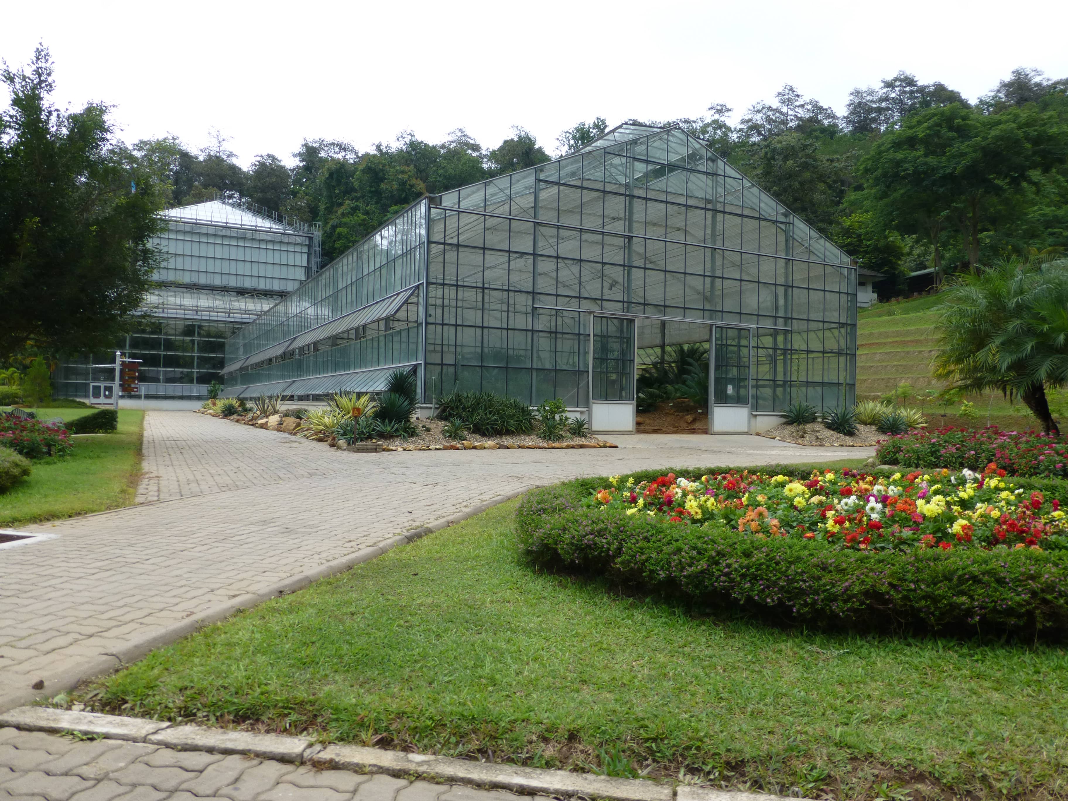 Orchid Greenhouse