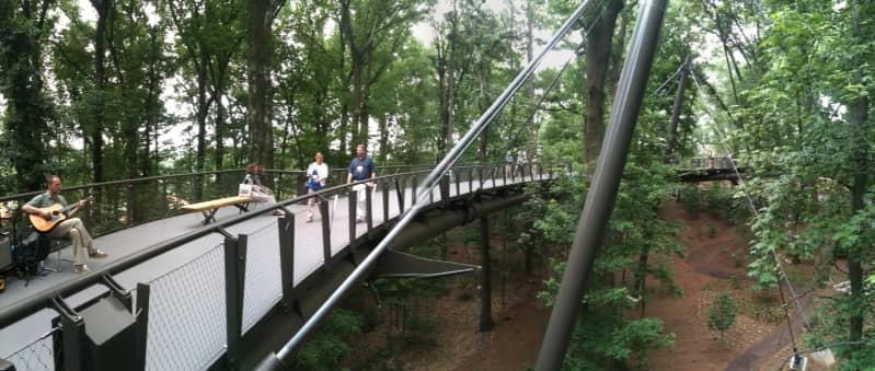 Canopy Walk