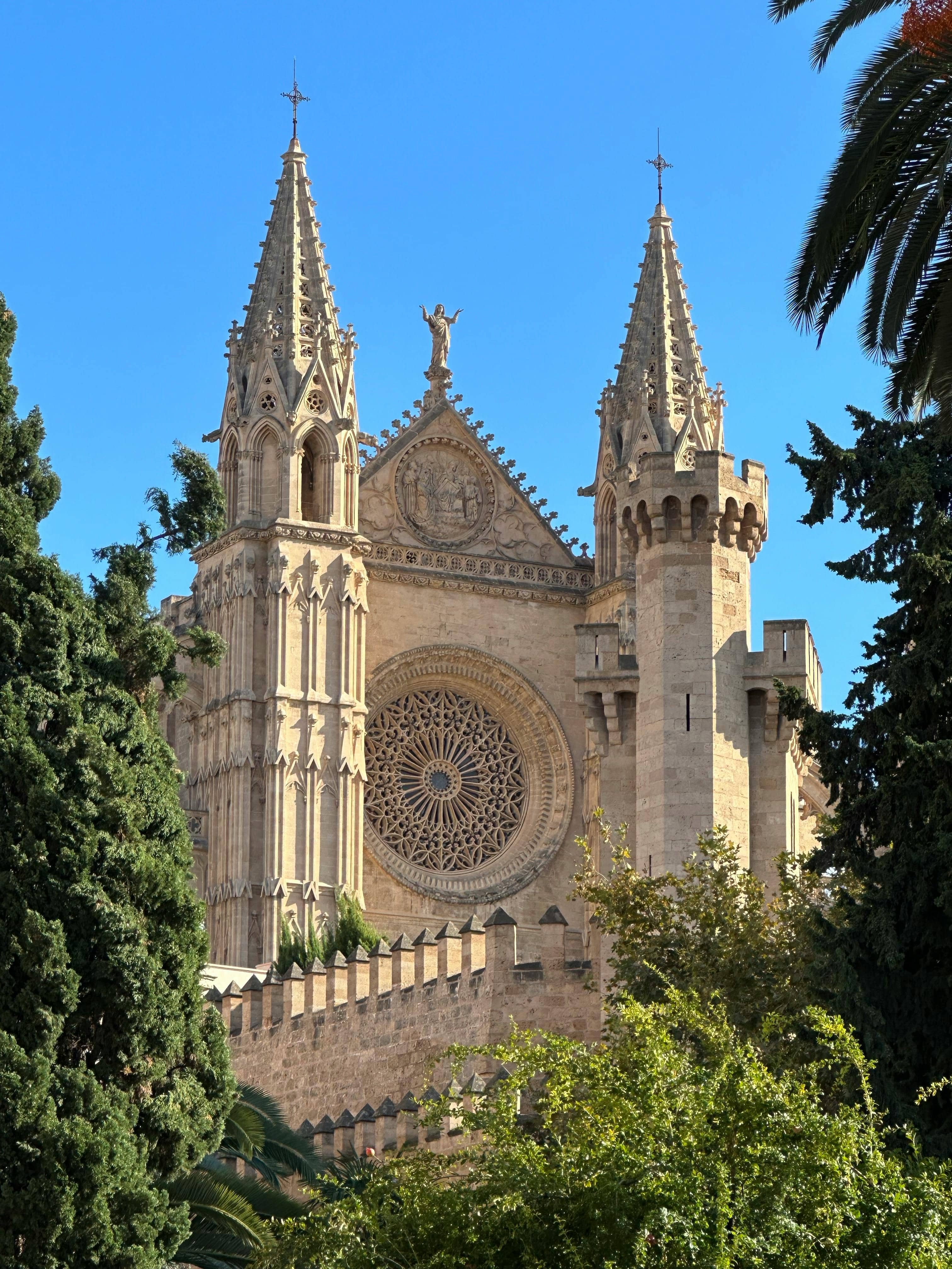 Palma Cathedral Views