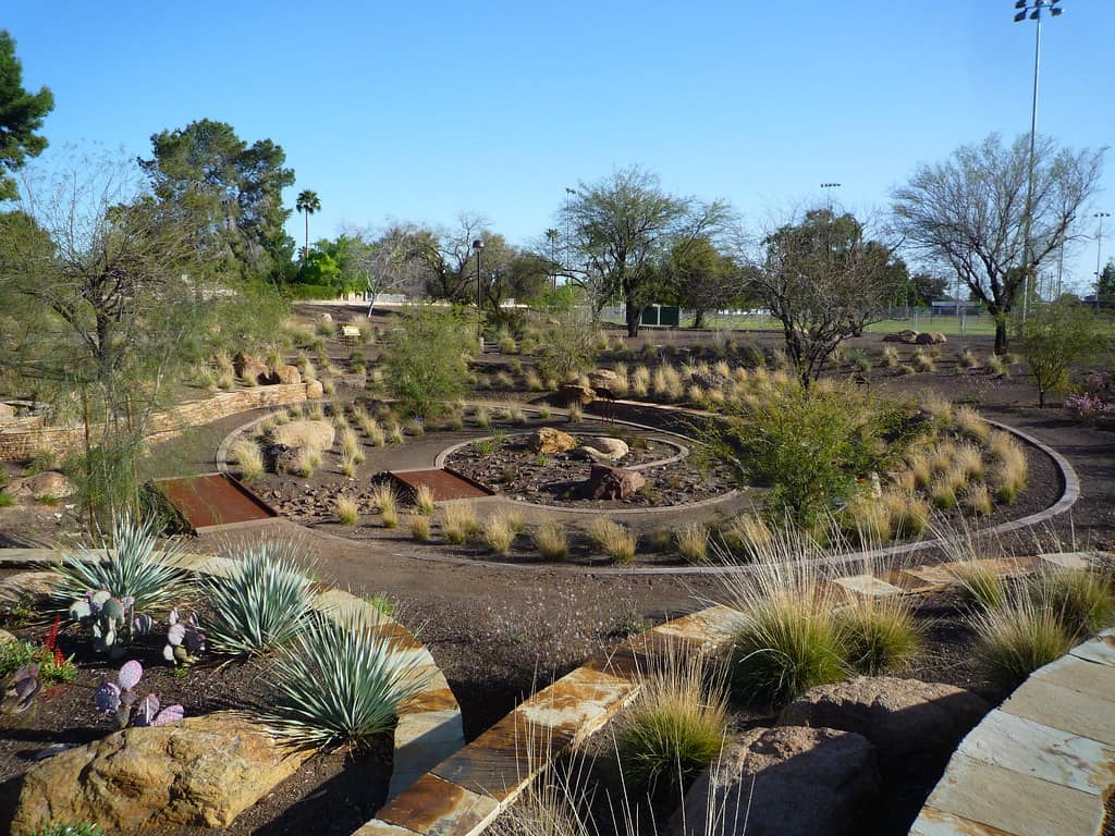 Xeriscape Garden