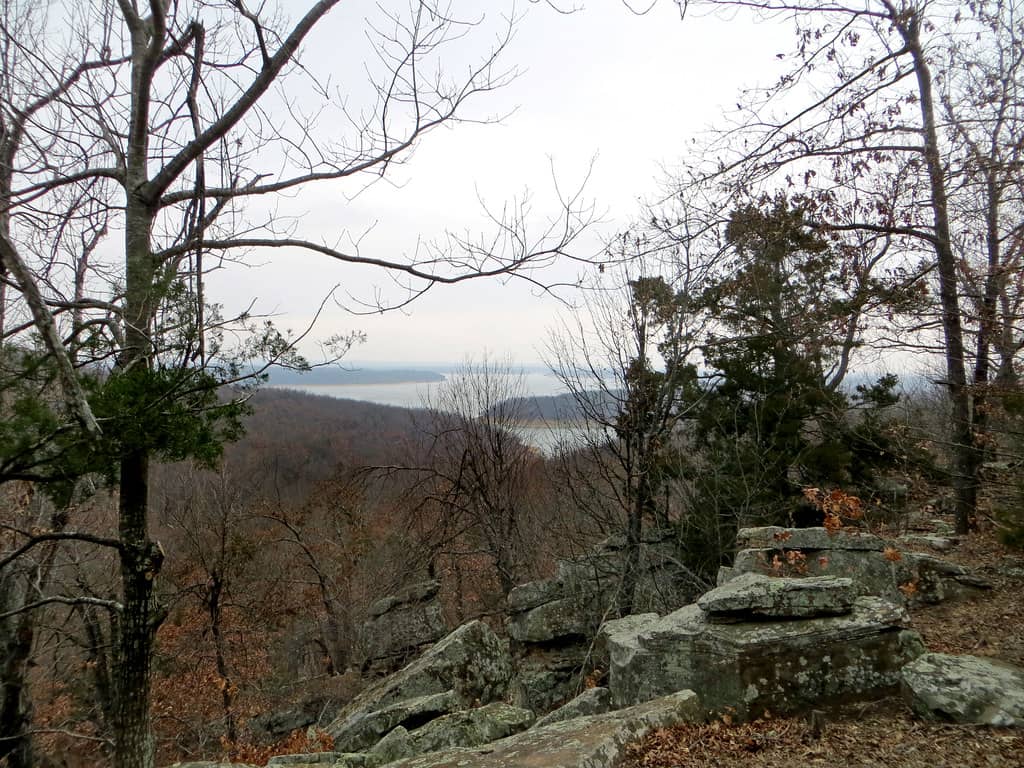 Keystone Ancient Forest