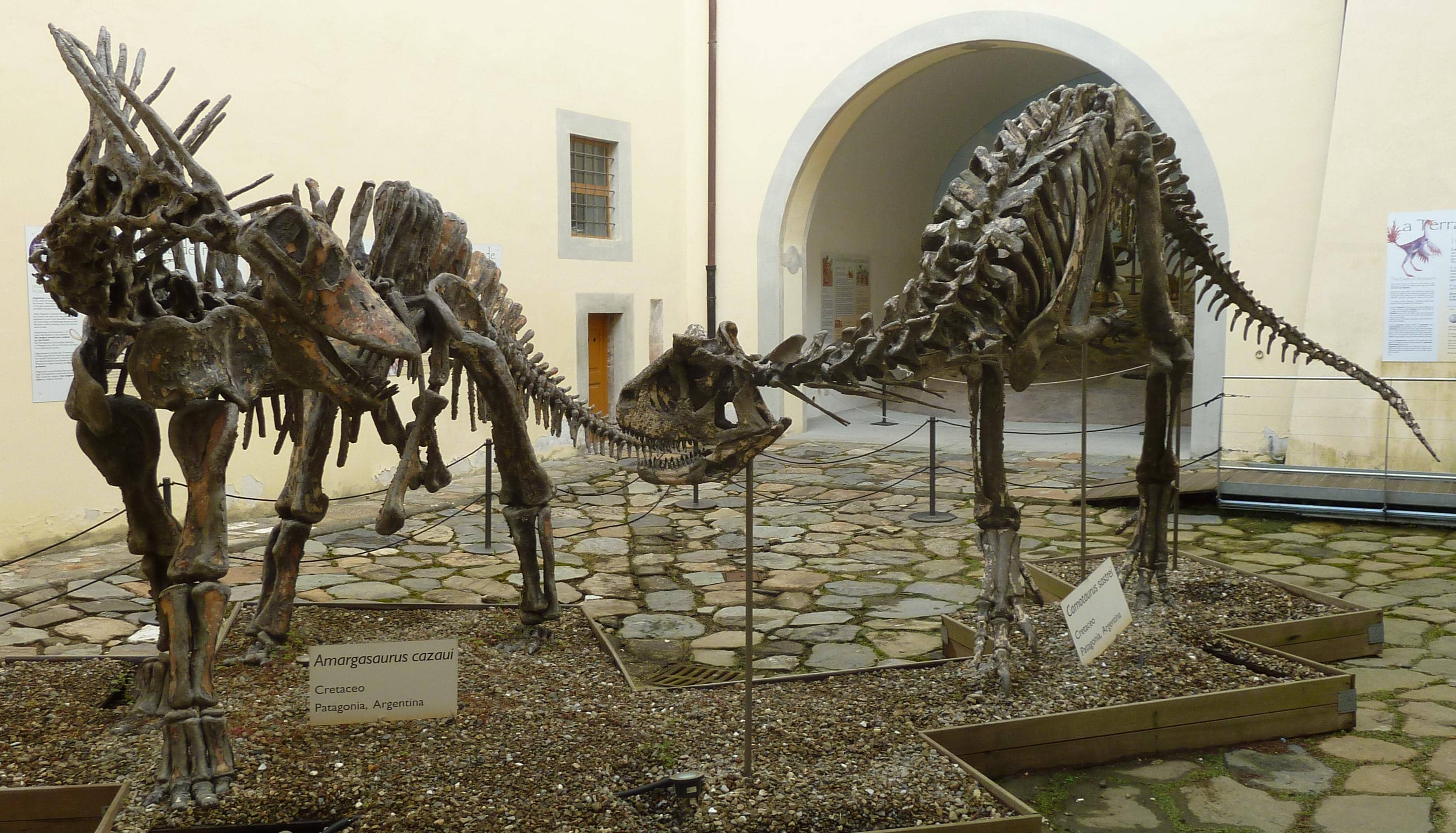 Dinosaur Hall