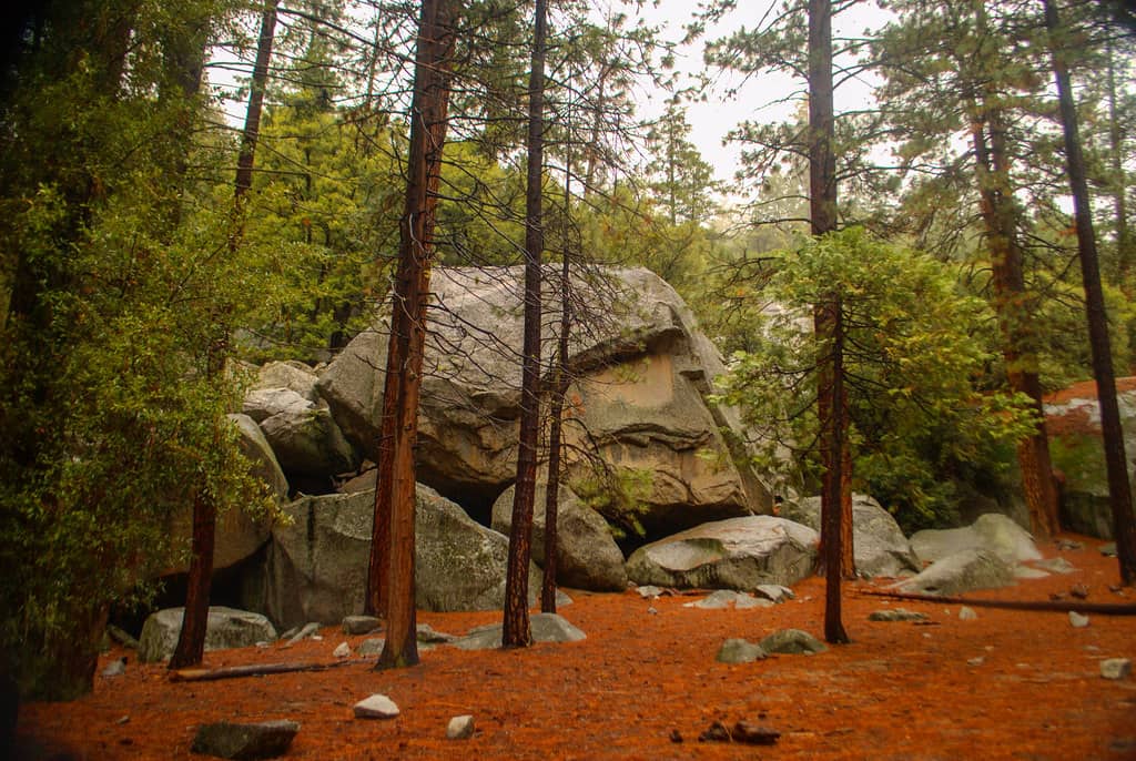 Historic Cavalry Trails