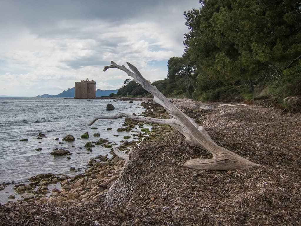 Monastic Wine & Spirits