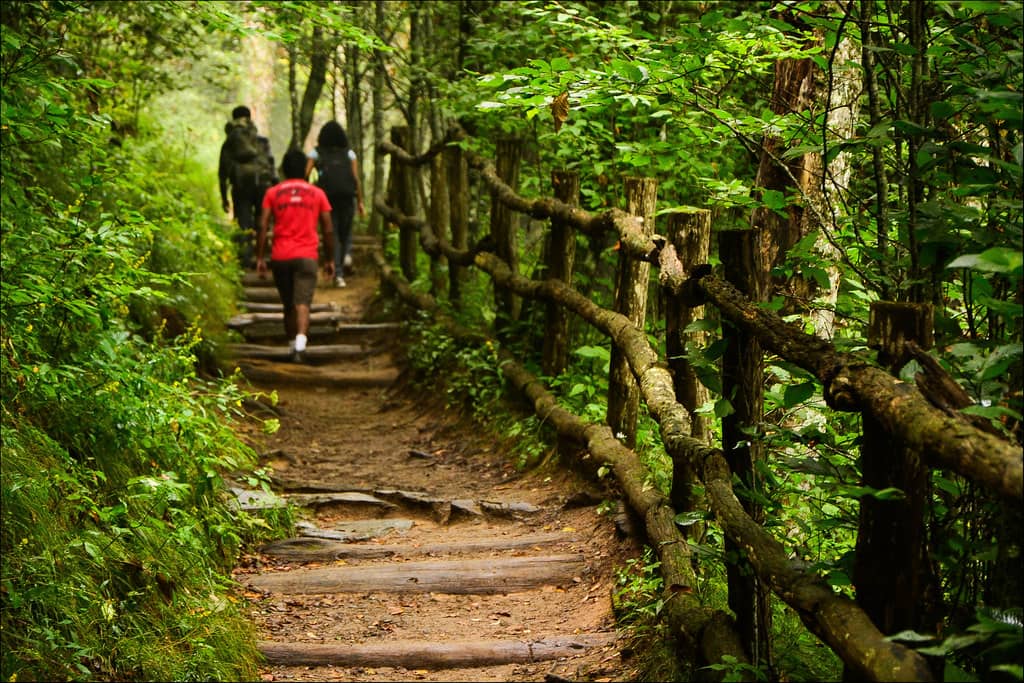 Appalachian Trail Section