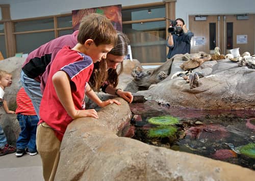 Conservation Education