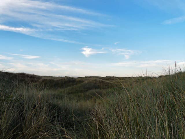 Grassy Dunes Exploration