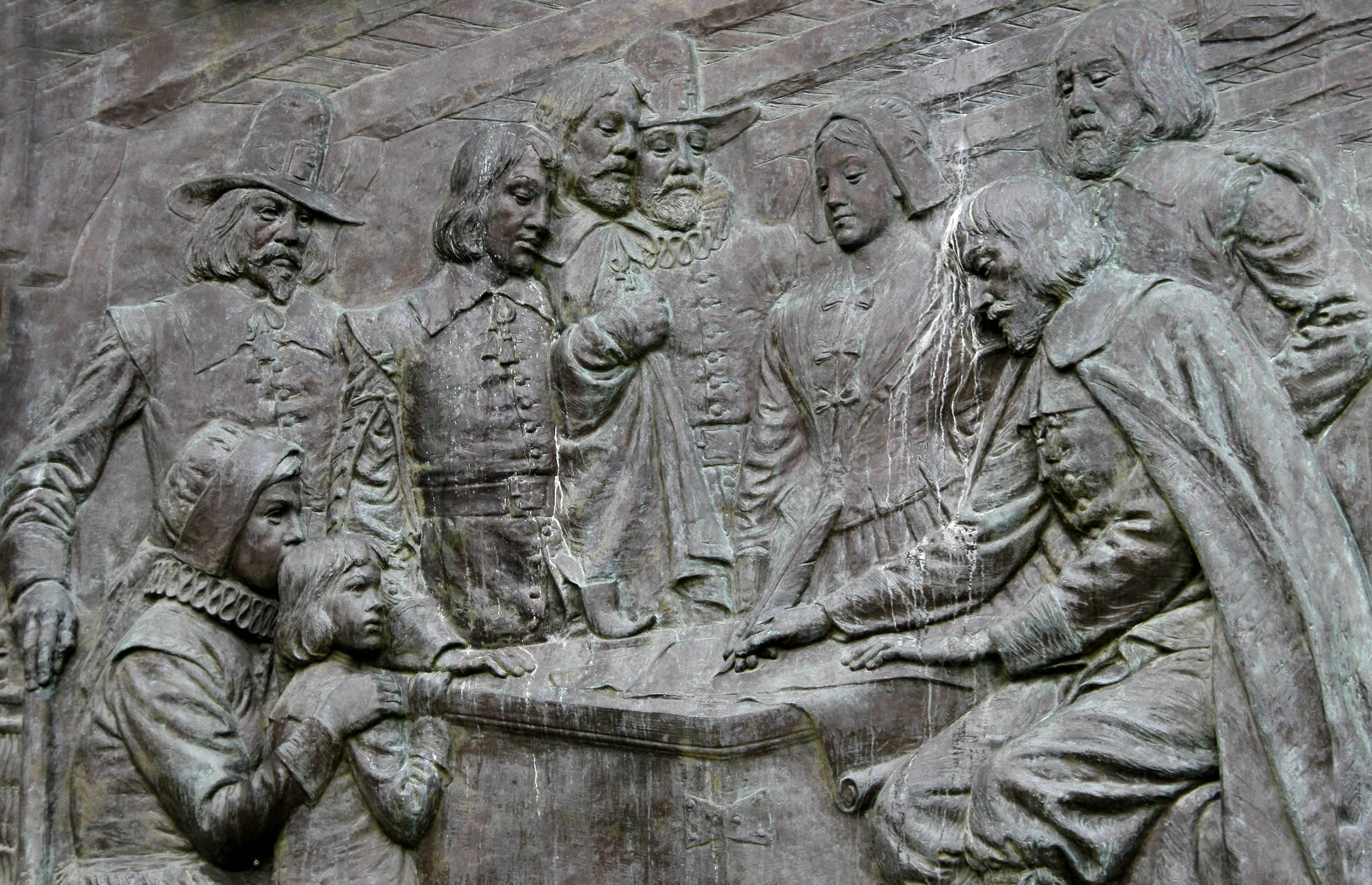 Volunteer-Led Insights