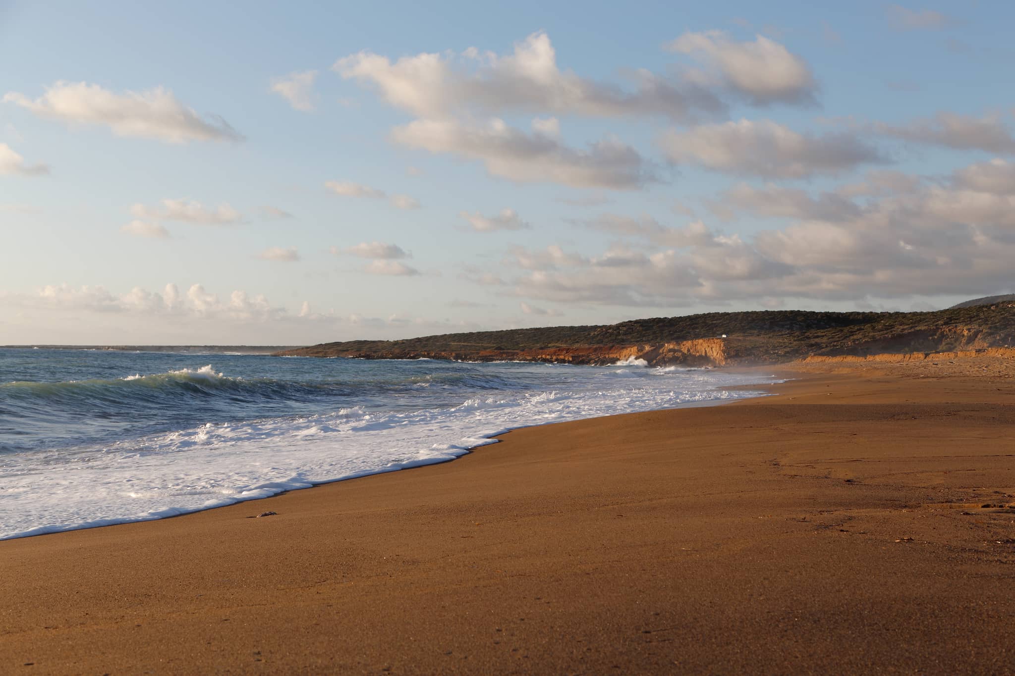Secluded and Wild Ambiance