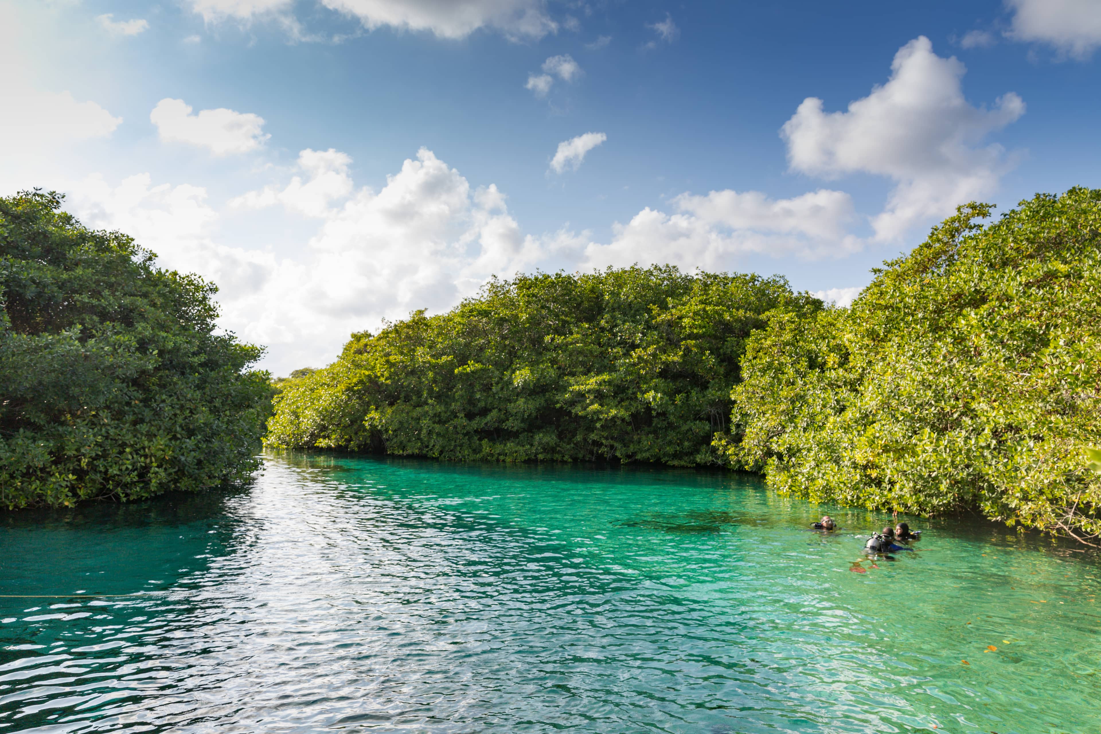 Snorkel with Marine Life