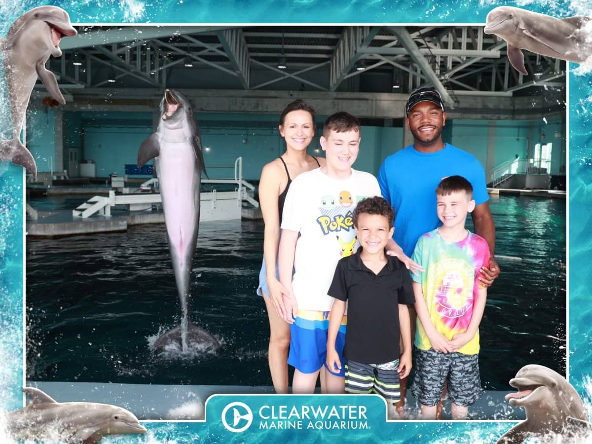 Dolphin & Sunset Views