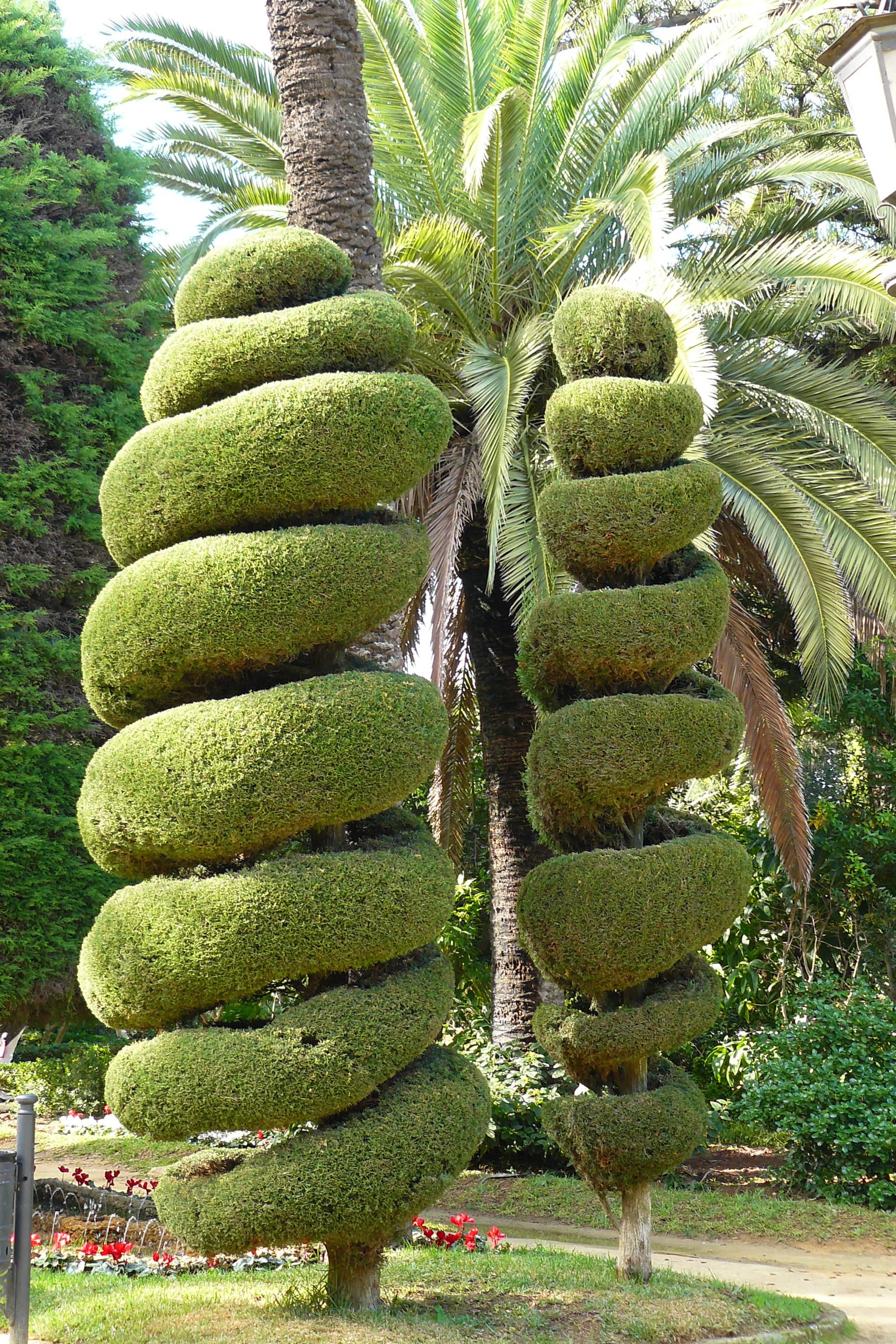 Exotic Plant Collection