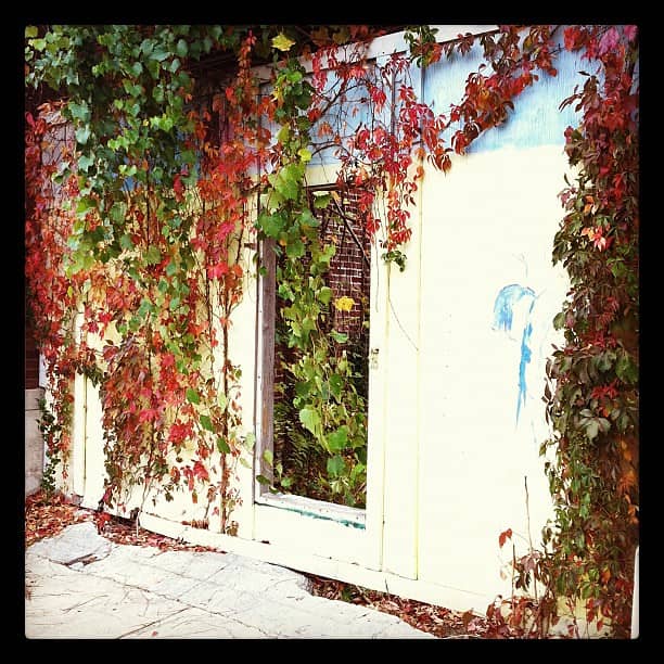 Diverse Street Art Collection