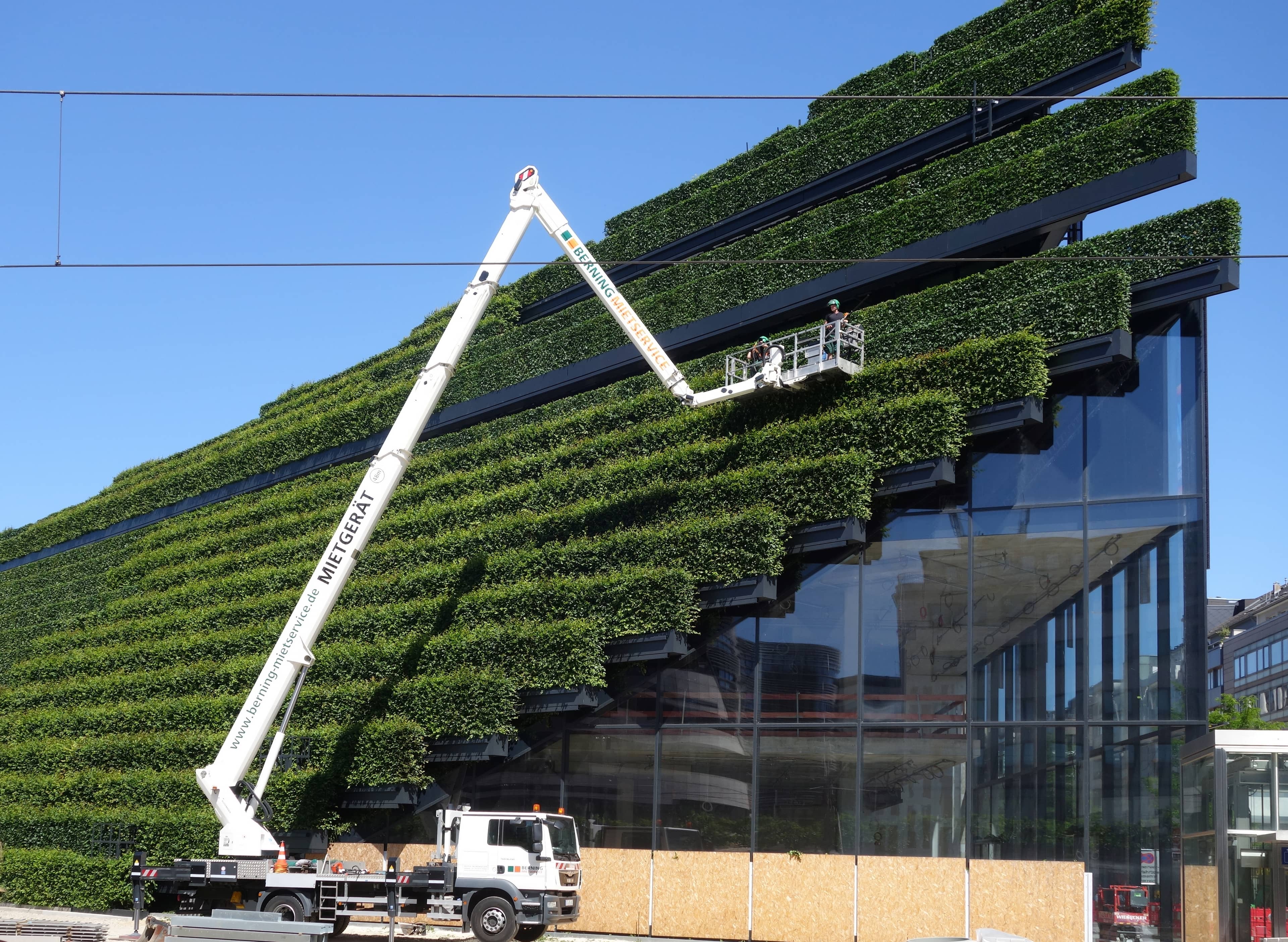 The Triangular Structure