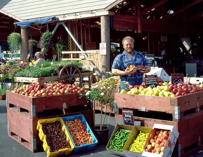 Farmers Market Vibes