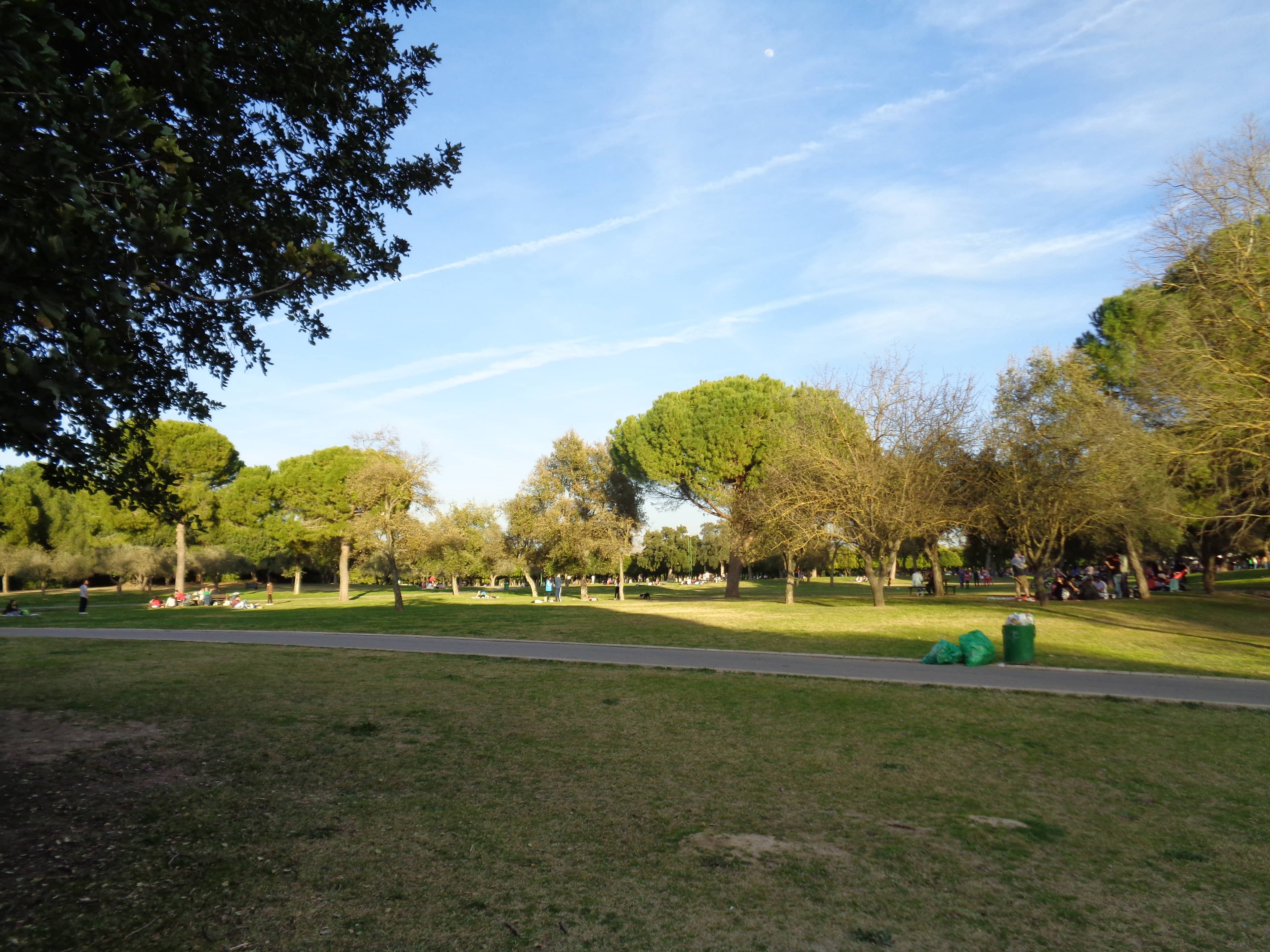 Sprawling Green Oasis