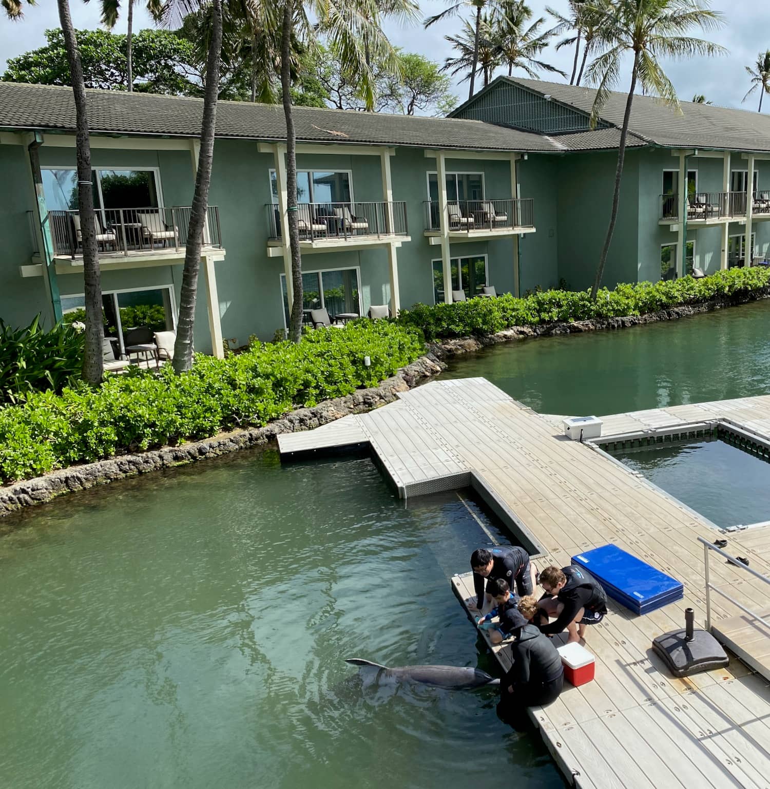 Crystal Clear Waters