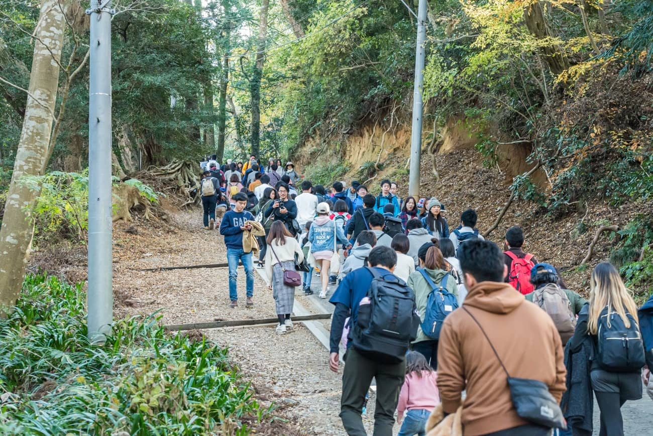 Mount Takao Hiking Trails