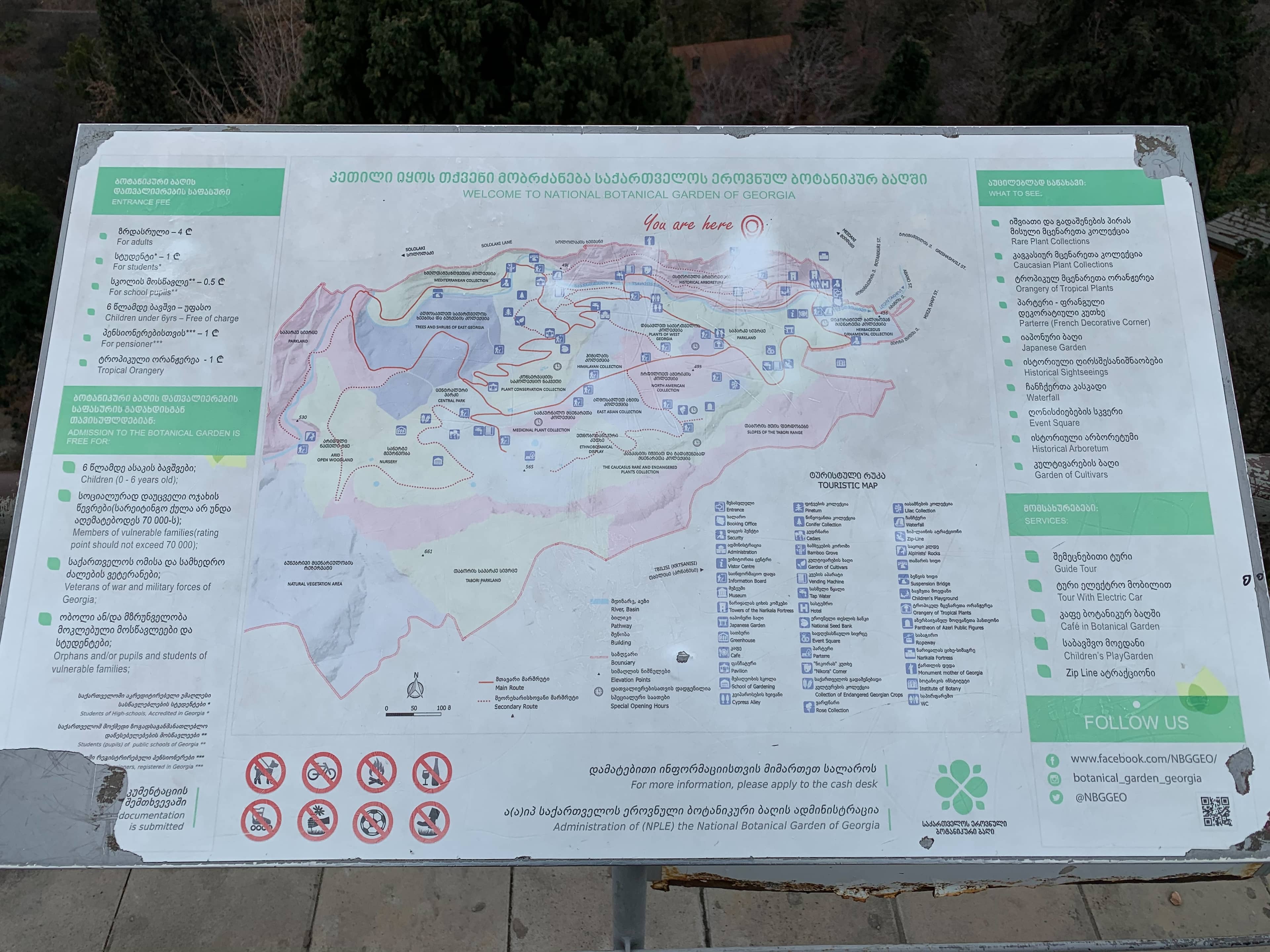 Diverse Tree Collection