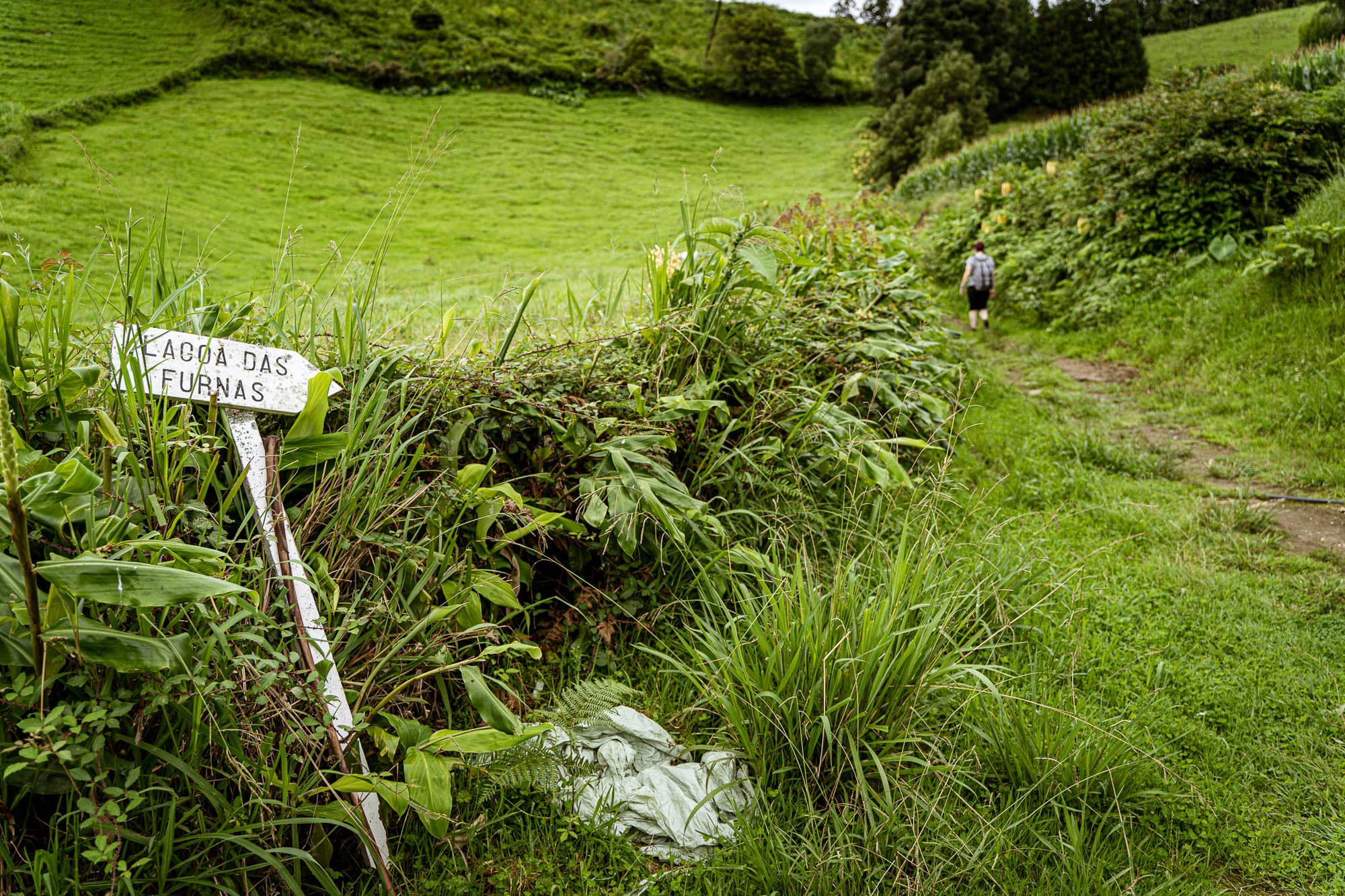 Lagoa das Furnas Loop Trail