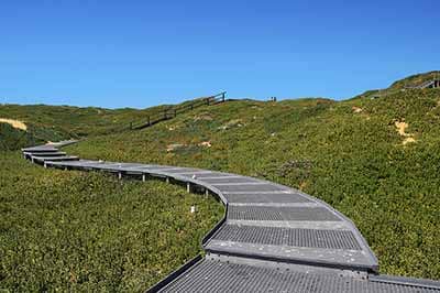 Chula Vista Bayfront Trails