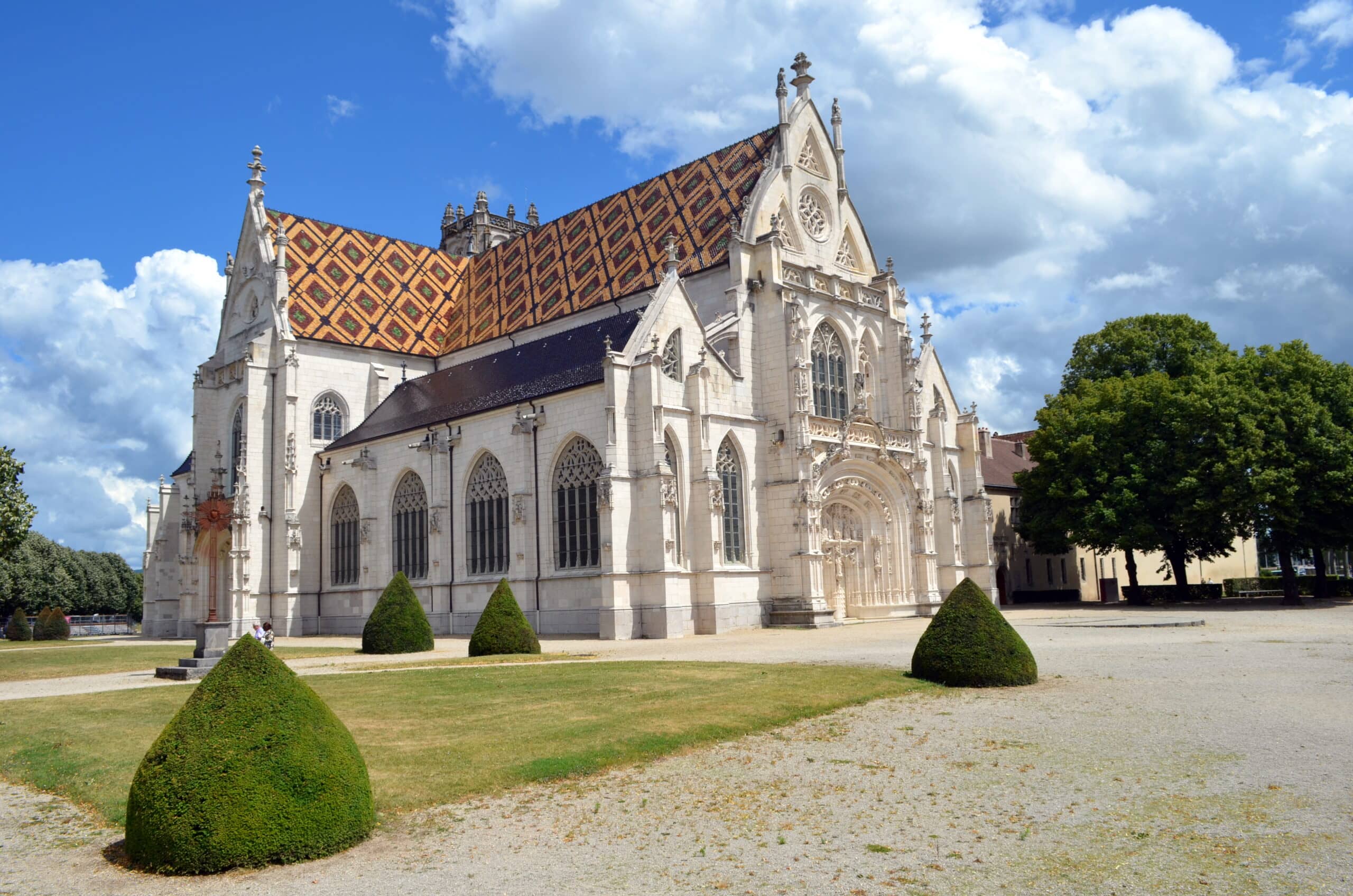 Museum and Art Exhibitions