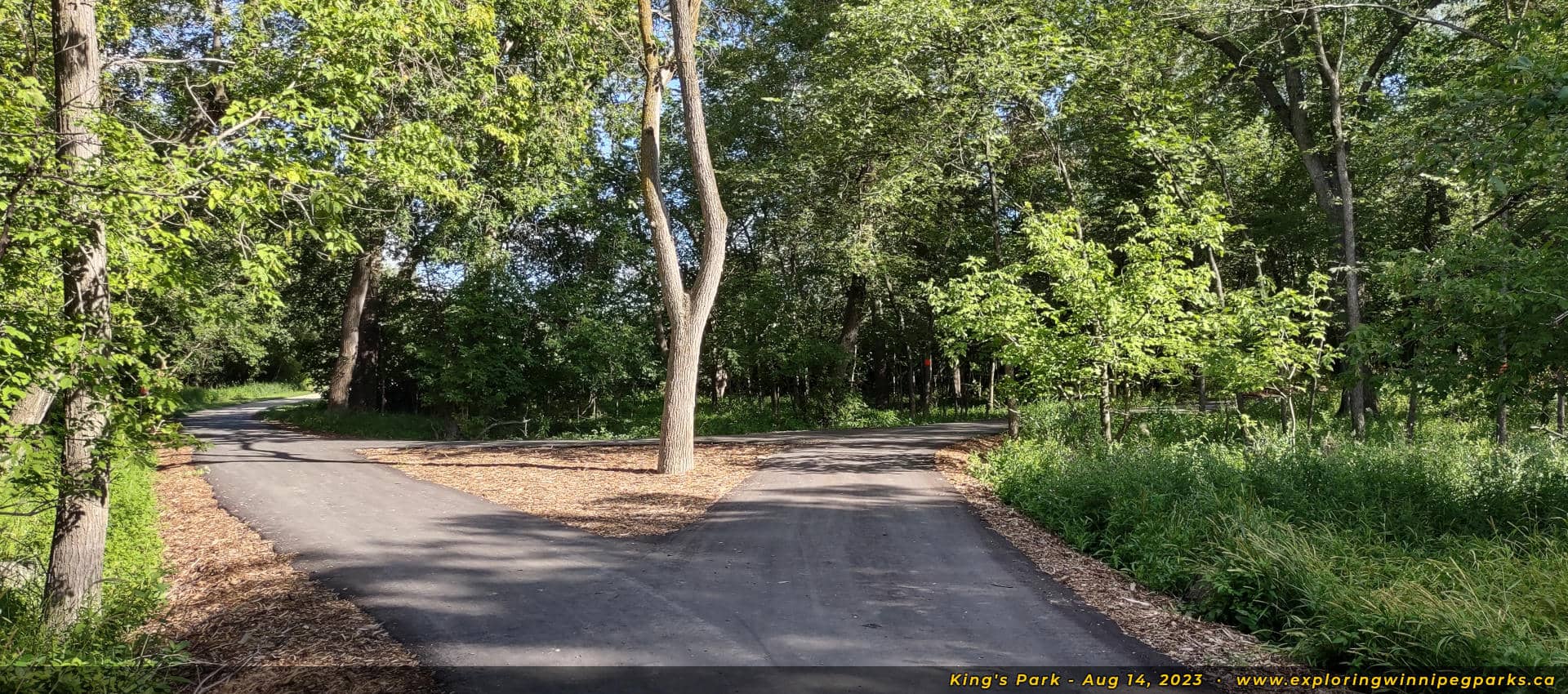 Mountain Biking Trails