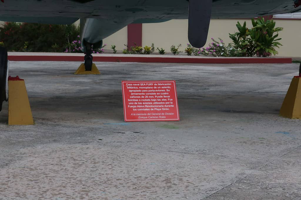 Artifacts & Exhibits