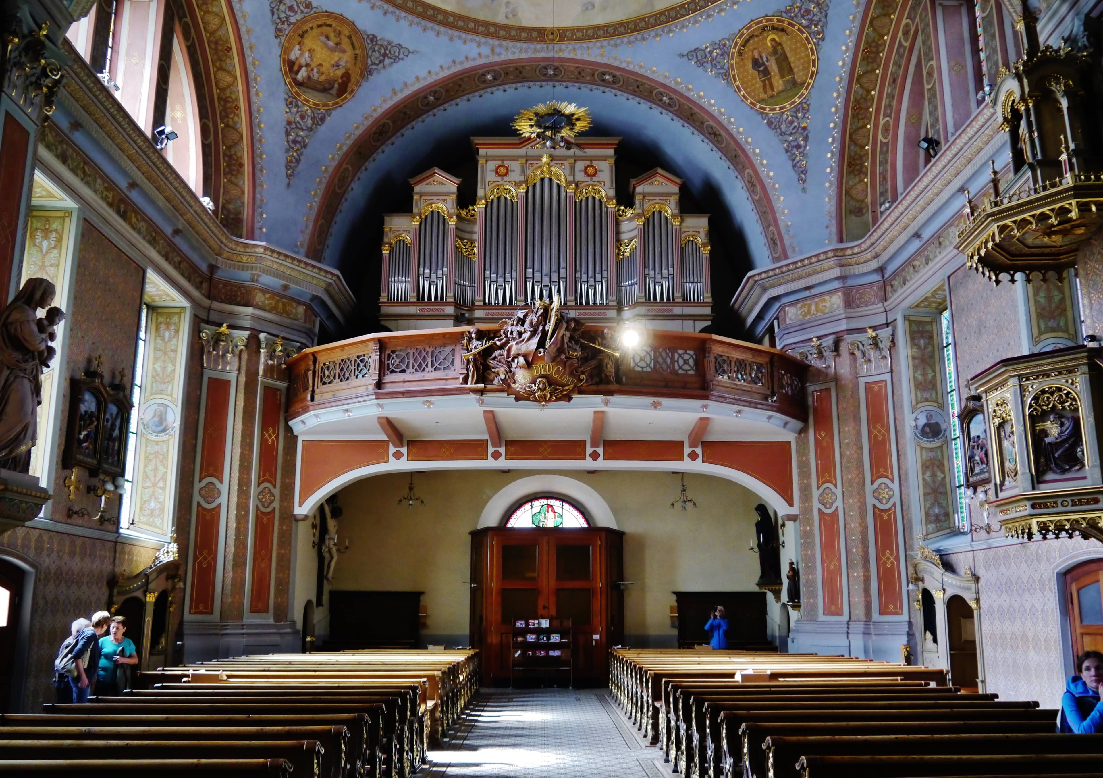 The Organ