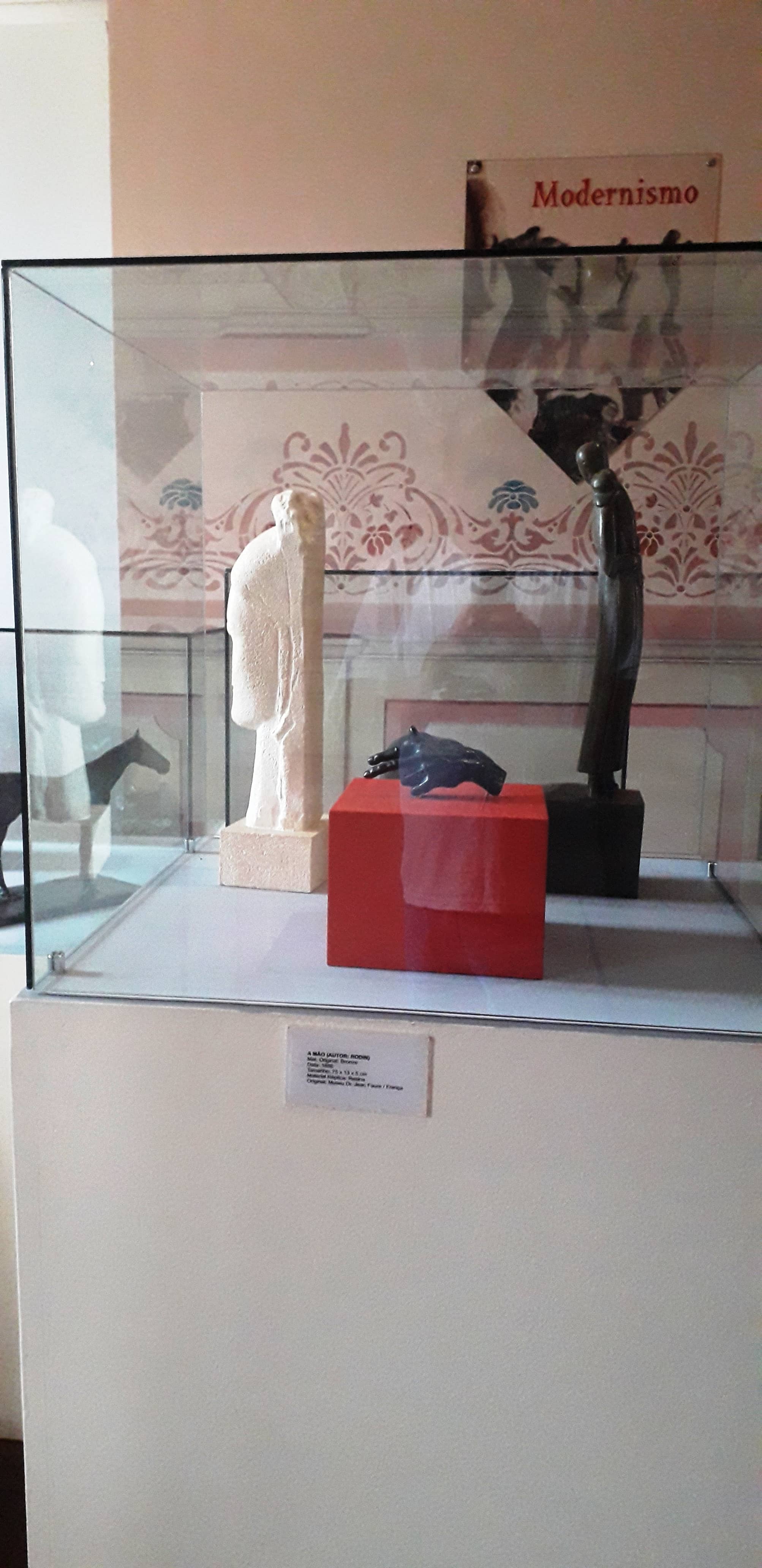 Amazonian Biodiversity Exhibit