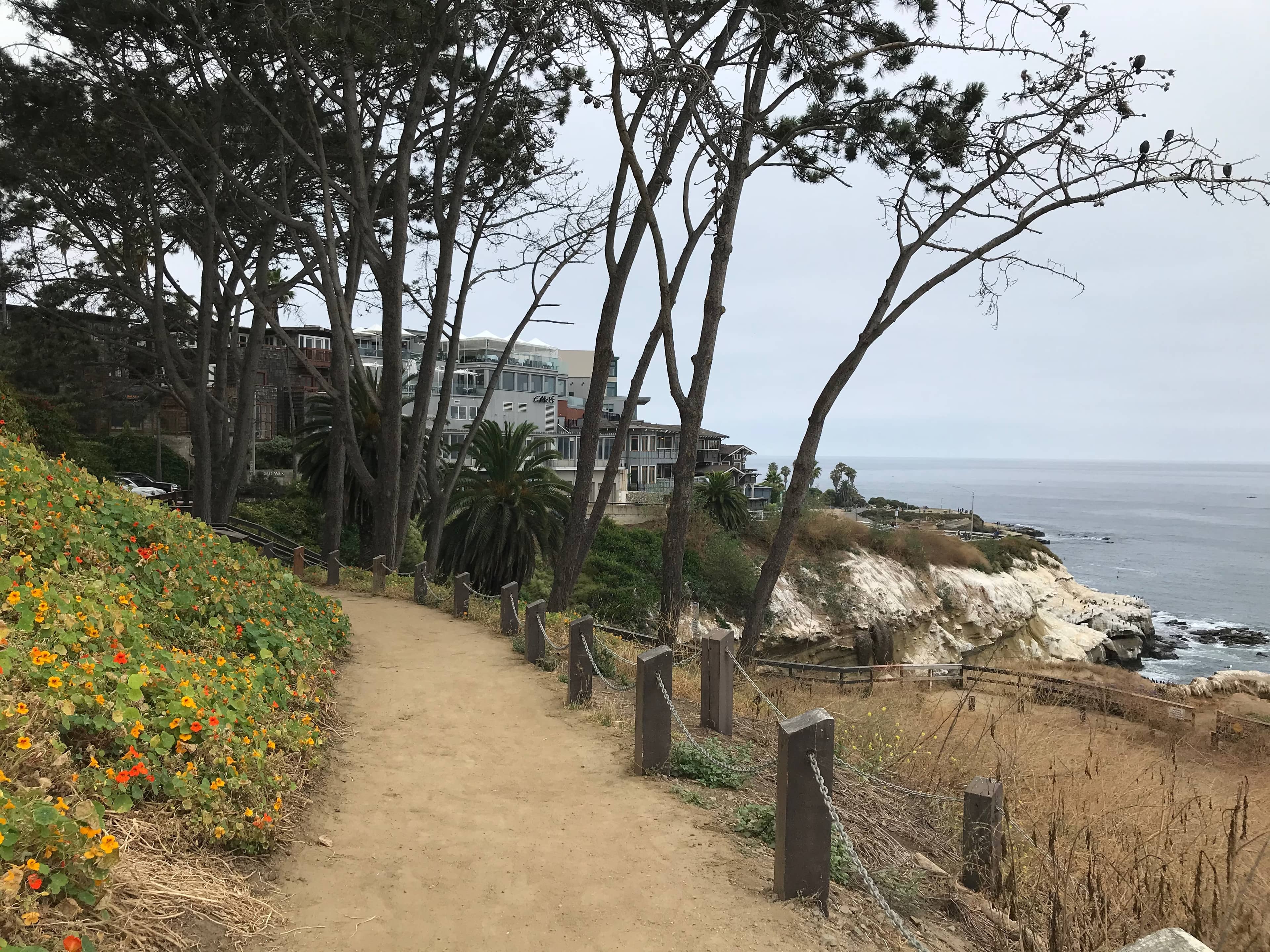 Coastal Walkway Views