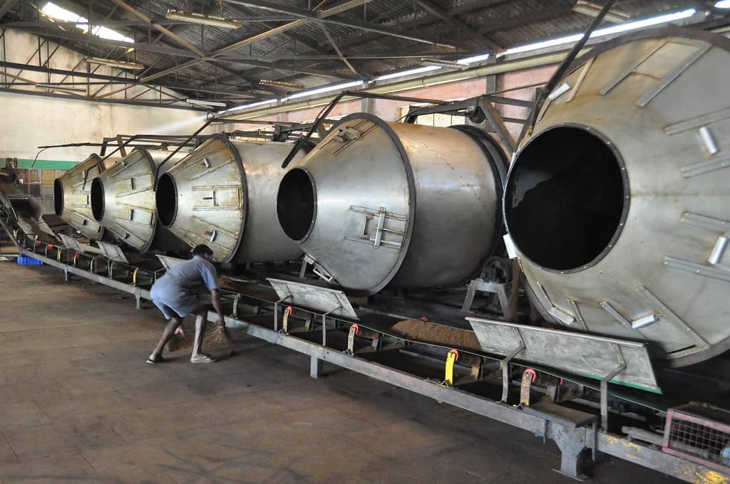 Tea Production Insight