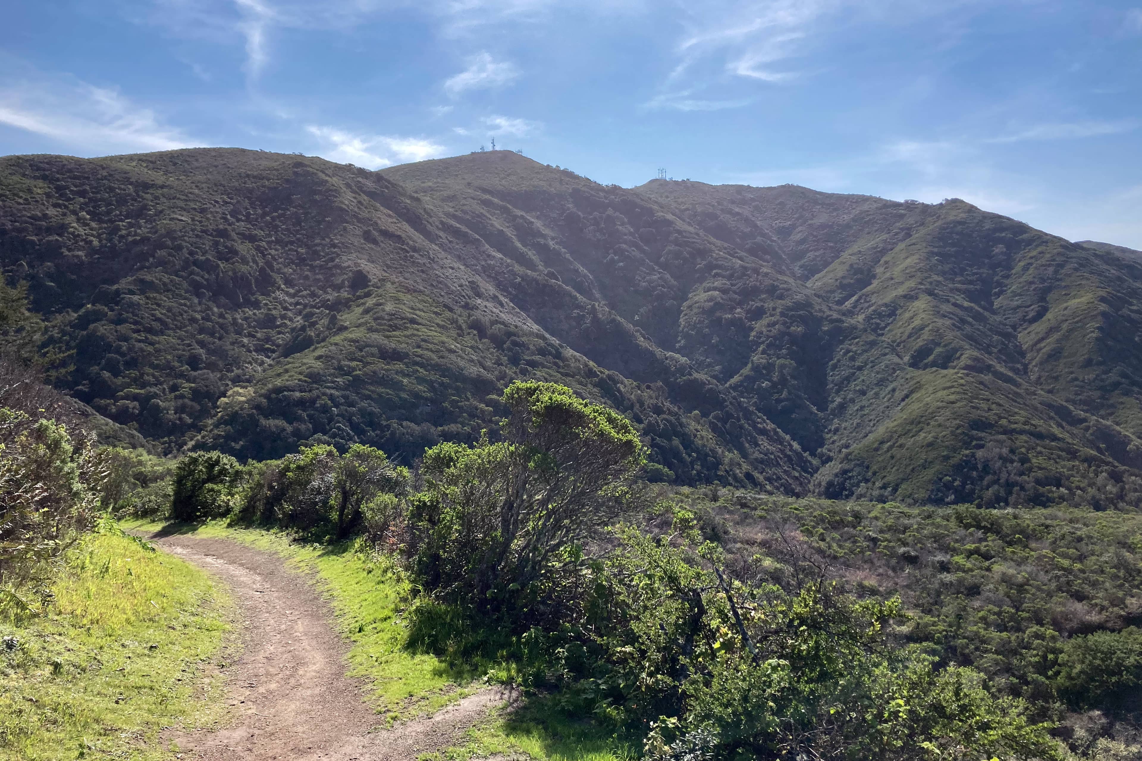 Mountain Biking Trails