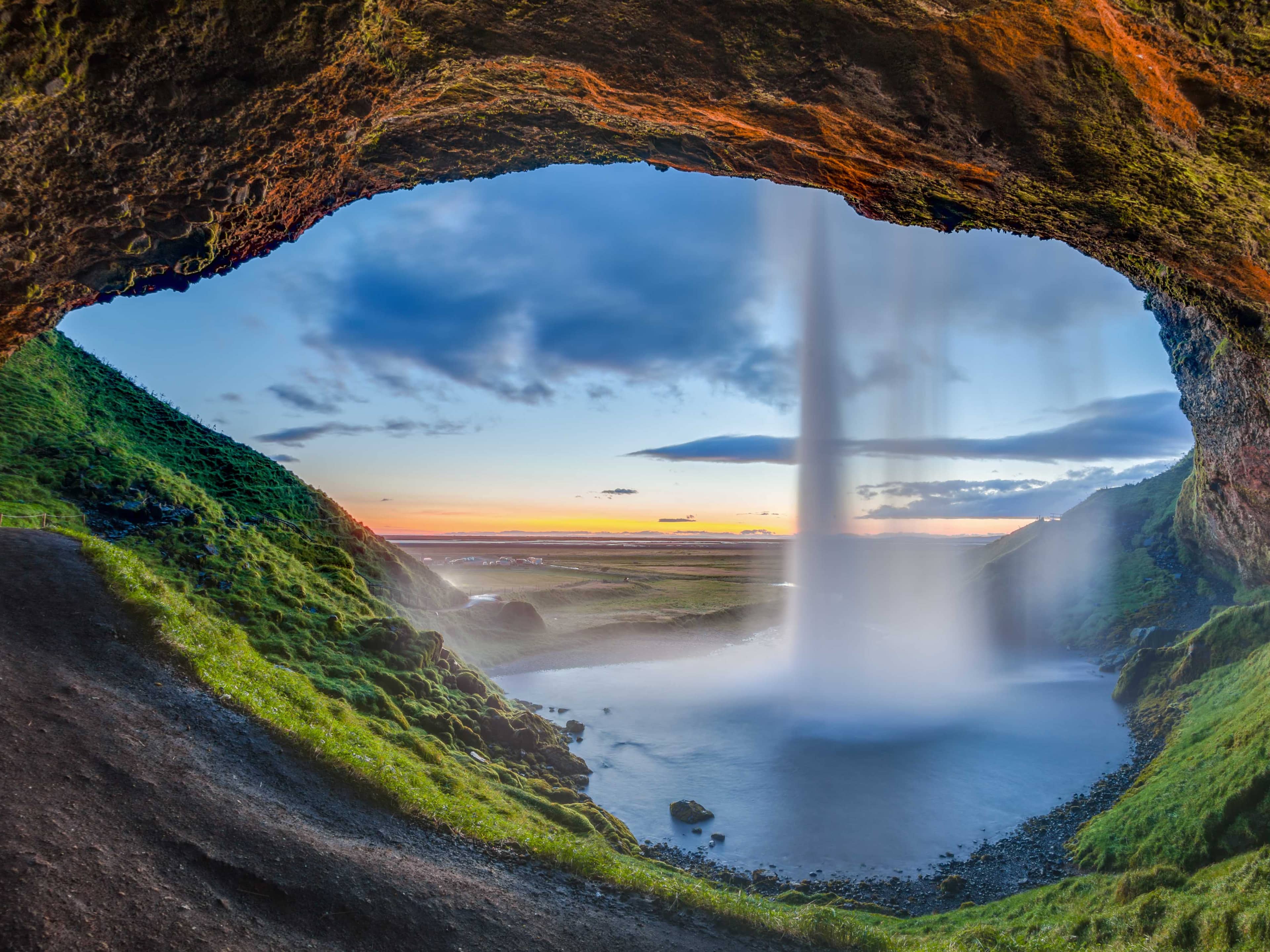 Dolphin & Seal Shows