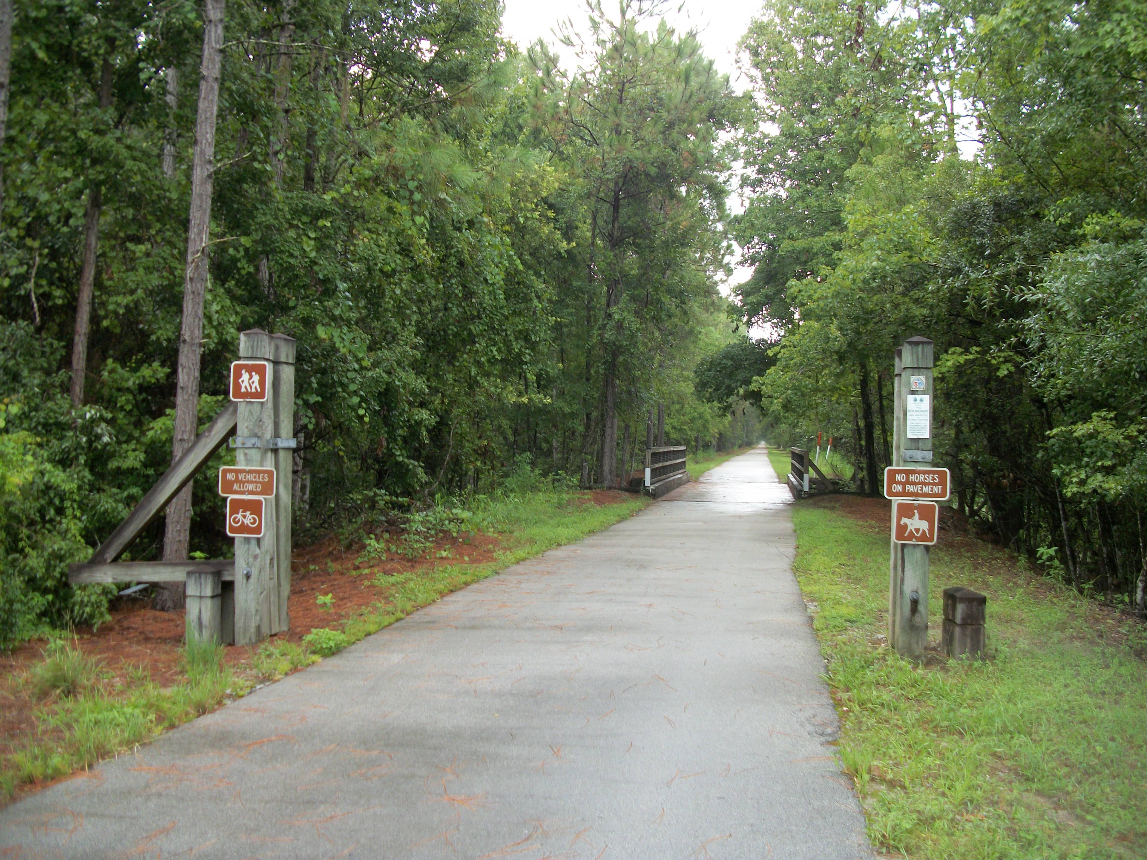 Scenic Coastal Trails