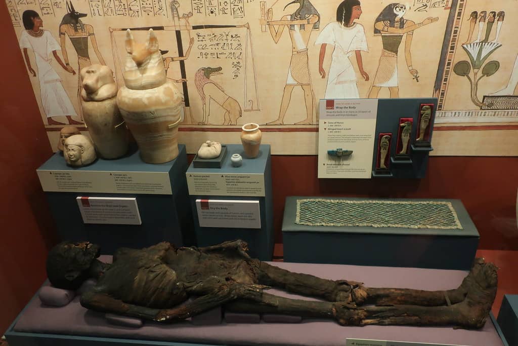 Mummy Exhibit