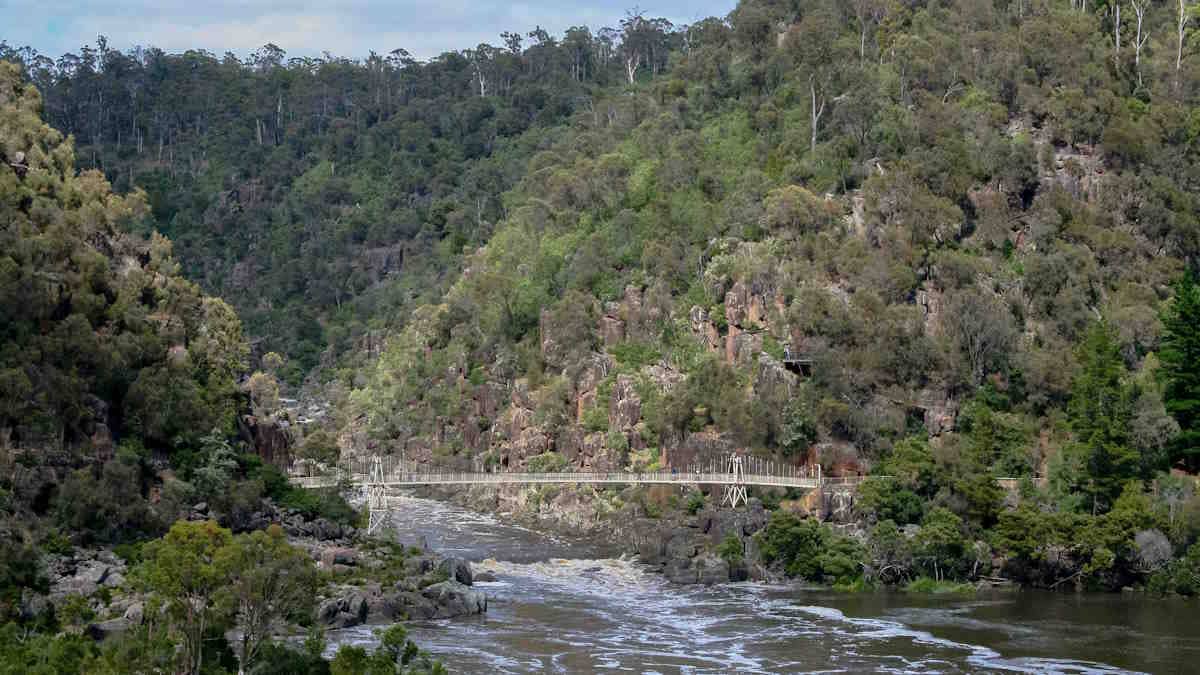 Steel Net and Rope Bridge