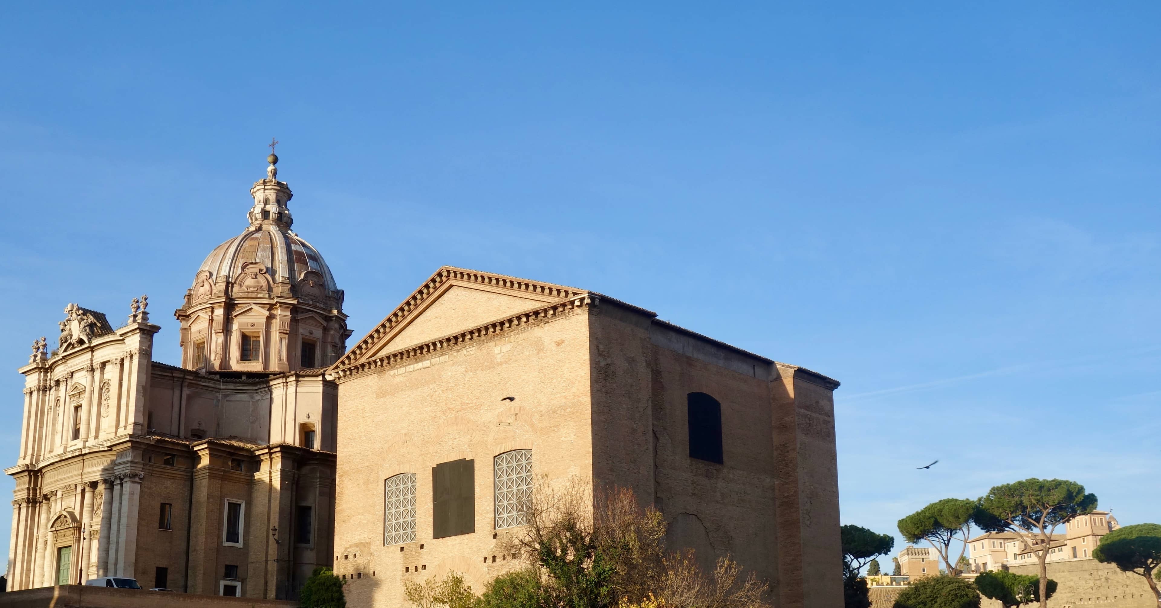 Curia Julia (Senate House)