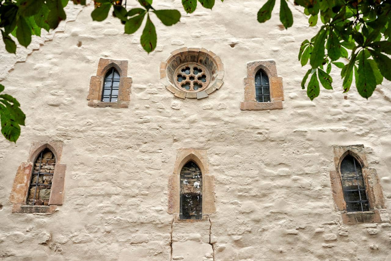 Informative Guided Tours