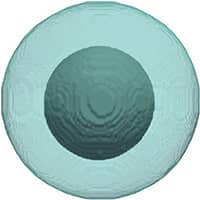 Literary Artifacts and Personal Effects