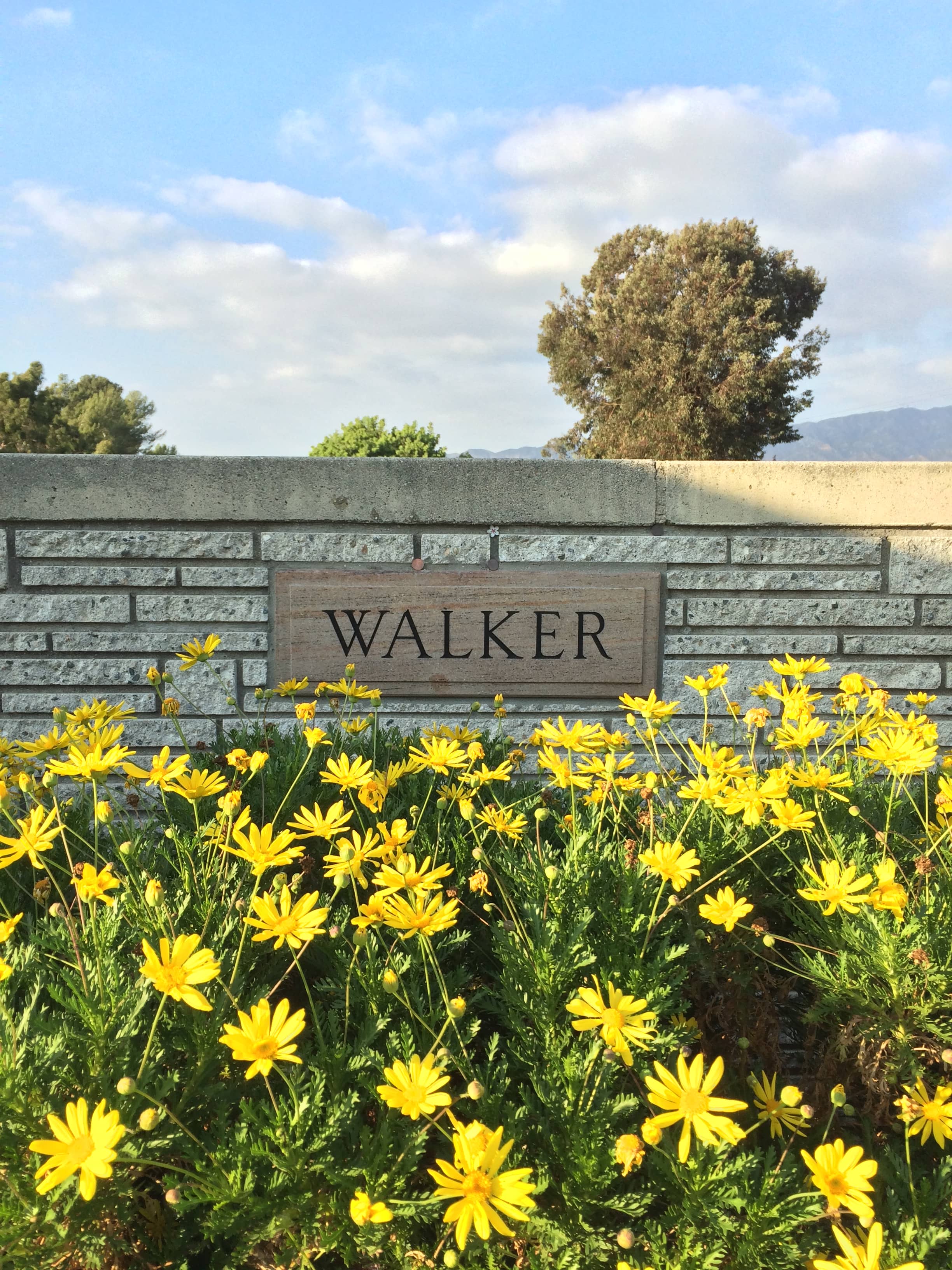Paul Walker's Grave