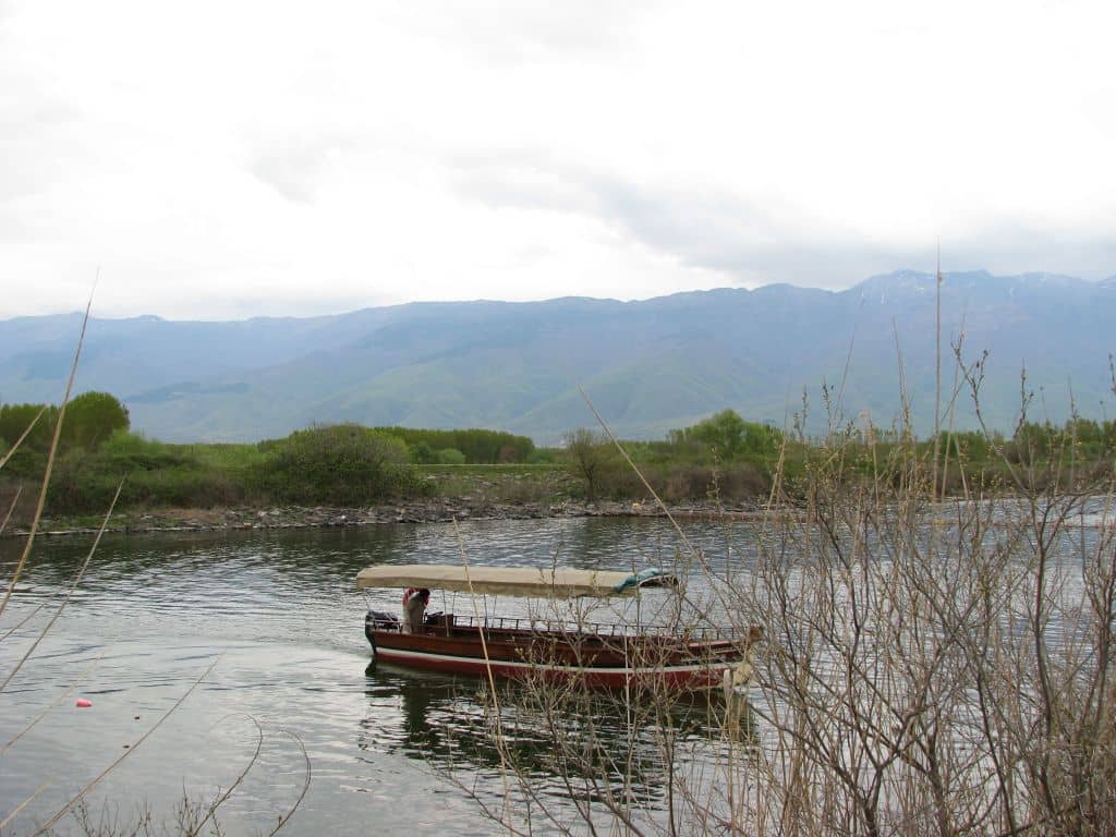 Birdwatching Boat Tours